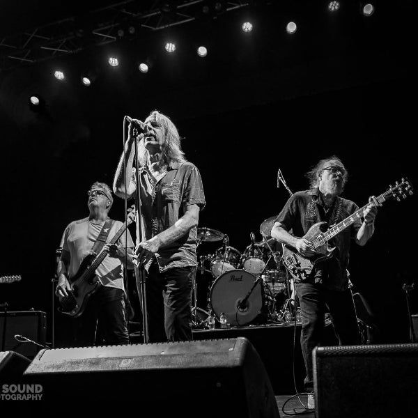 The Saints ’73 - ’78 + The New Christs