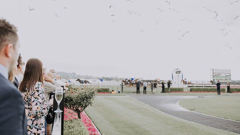 Kembla Grange Racecourse