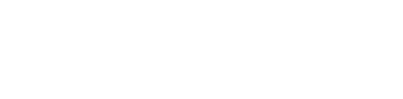 Websters Bar Newtown